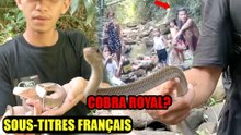 🐍UN COBRA ROYAL POURSUIT DES VILLAGEOIS ! VIPÈRE ET LONG SERPENT DANS LA RIVIÈRE | SOUS-TITRES FRANÇAIS