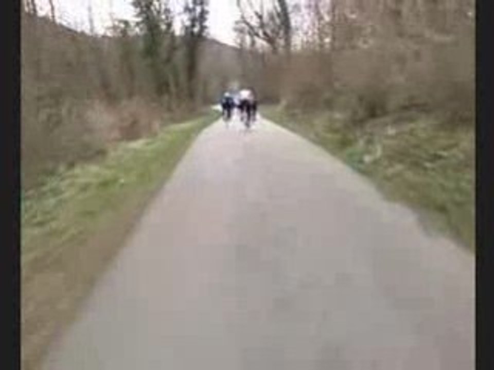Video section