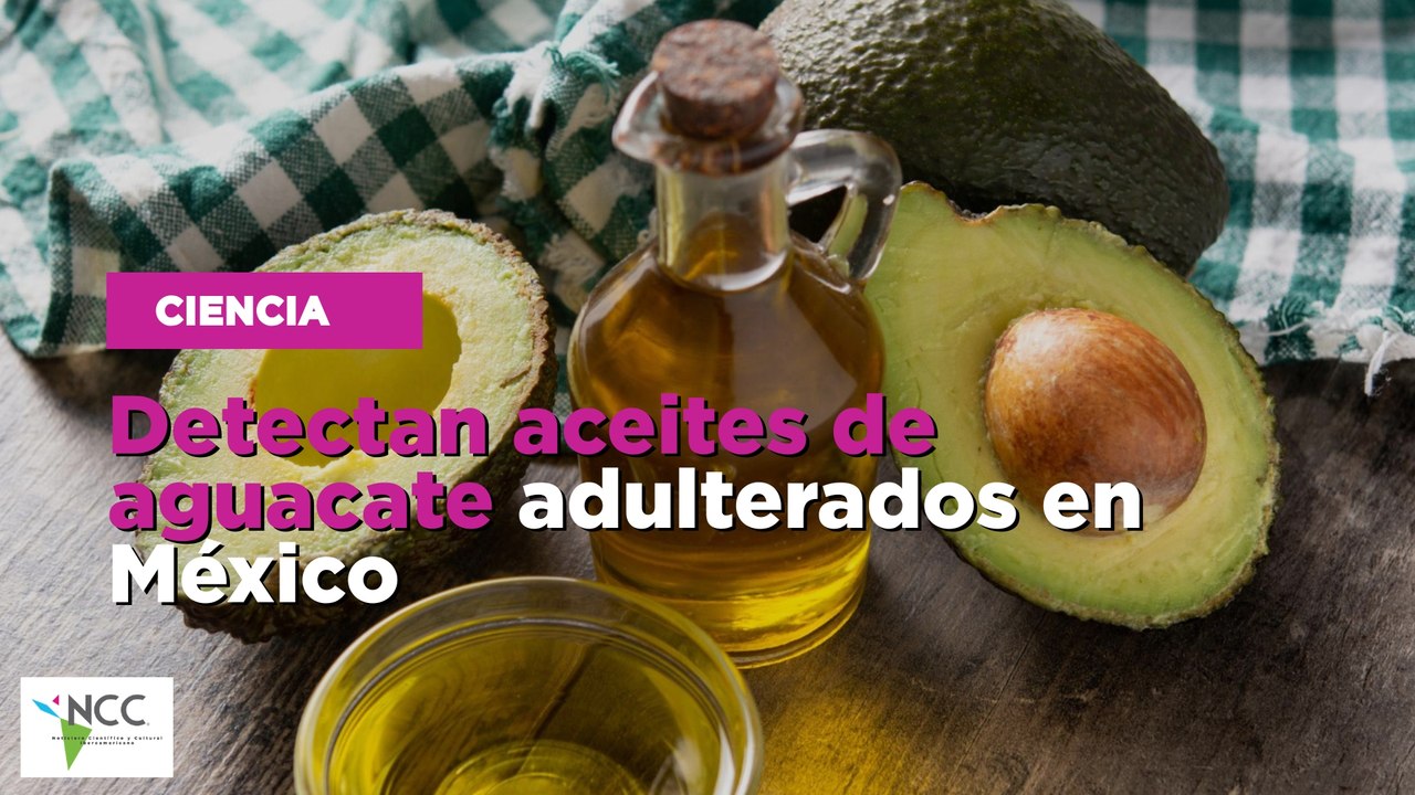 Detectan aceites de aguacate adulterados en México