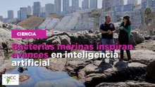 Bacterias marinas inspiran avances en inteligencia artificial
