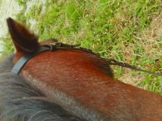 Déborah chez lisa cheval