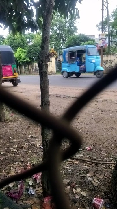 🌿 A View Through the Chain-Link Fence 🚗