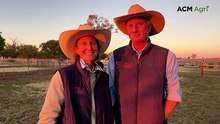 Texas Angus clears 300-plus bulls in milestone 90th year