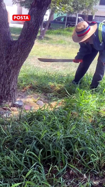 Con machete en mano, mujer de 83 años mantiene limpia una plaza en Apodaca