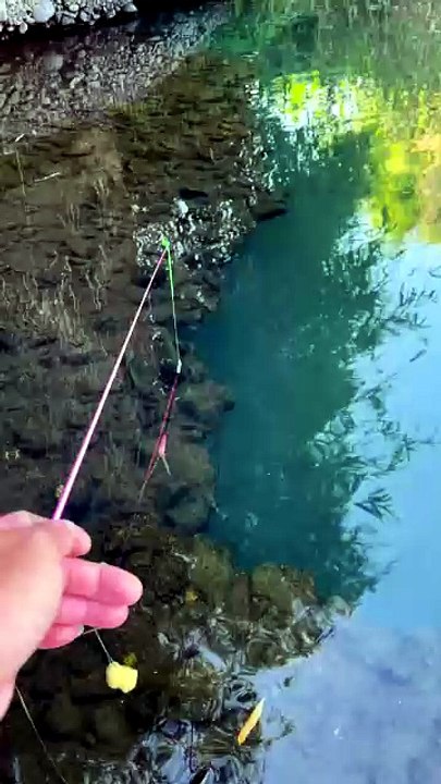 Catching Fish With a Tiny Fishing Rod! 🎣🐟 Will We Land a Big One? 😱