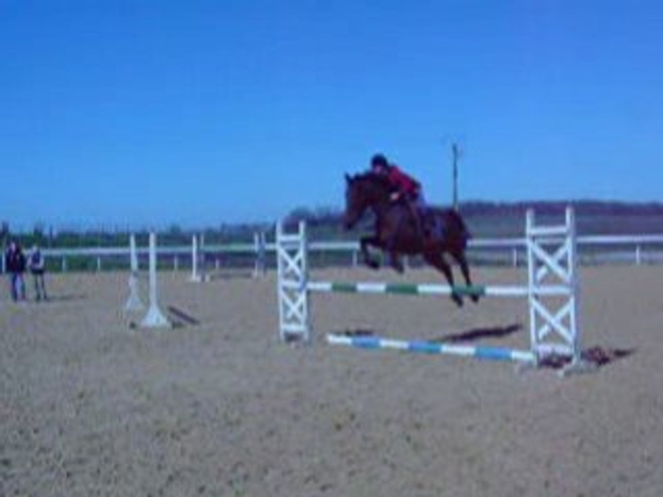 Filly 2007