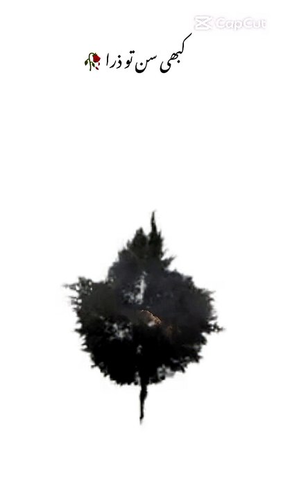 1000067346