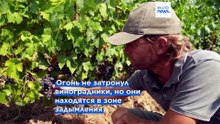 Новости дня | 31 июля 2026 г. — утренний выпуск