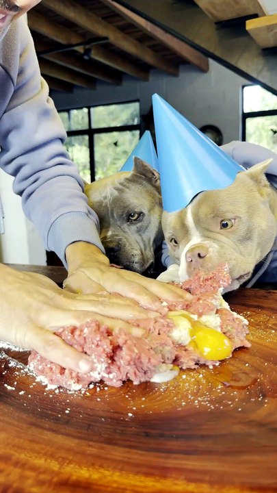 Bolo de Aniversário para Nuhri 🥳🐾 Parabéns Nuhri 🐾