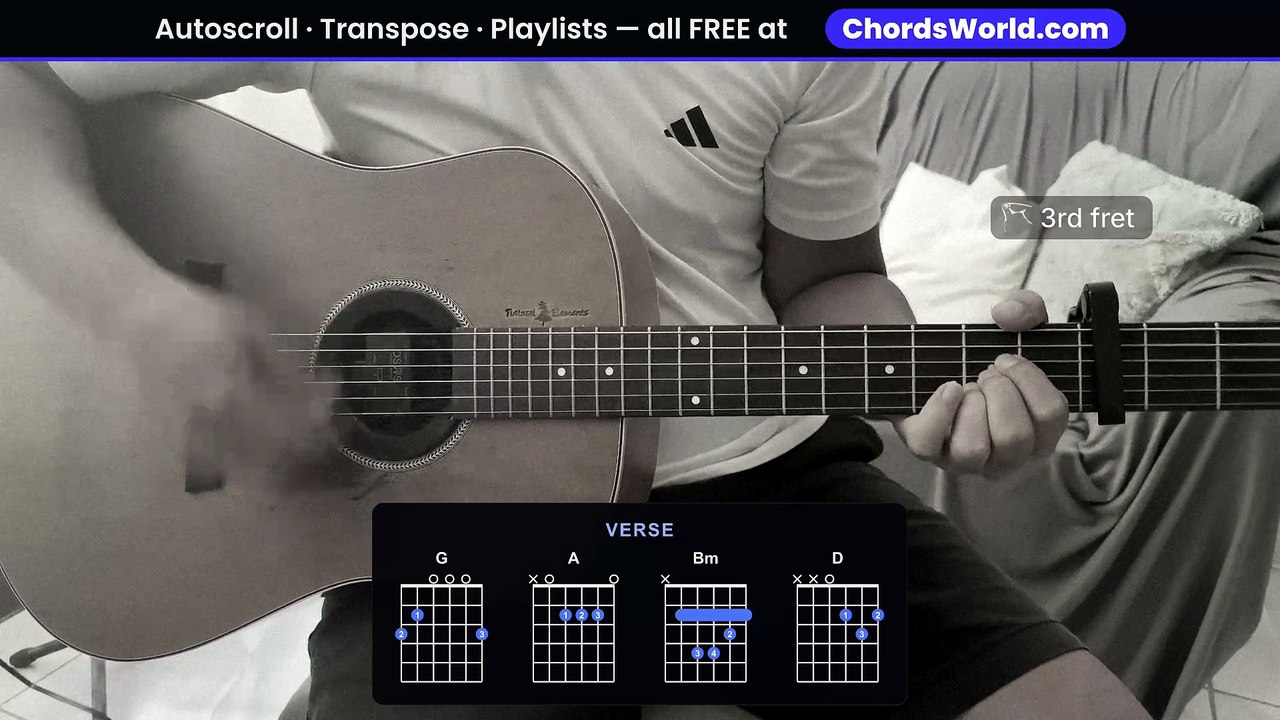 "stay" Guitar Chords/Tabs Playthrough by Ariana Grande