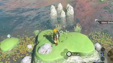 Zelda breathing of the wild
