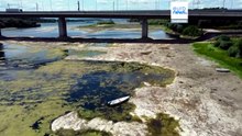 Europa: onda de calor penaliza indústria com vias navegáveis em mínimos
