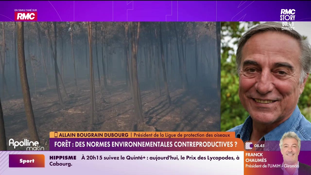 L'invité d'Apolline Matin : Allain Bougrain Dubourg - 31/07