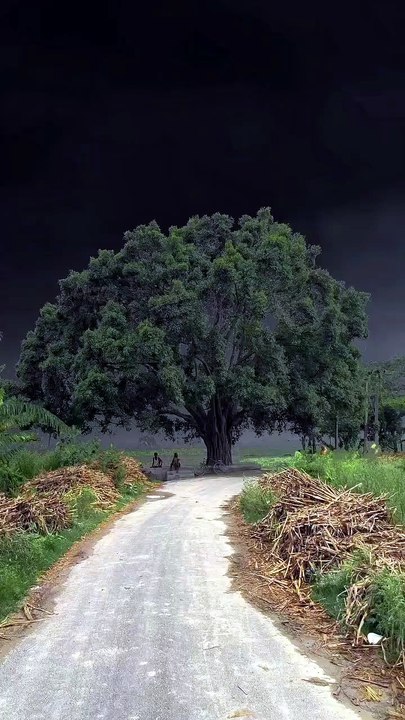 apna_bihar_tour7_14050509_114412089