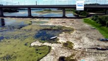 Πώς ο καύσωνας πλήττει την ευρωπαϊκή βιομηχανία καθώς οι υδάτινες οδοί στερεύουν