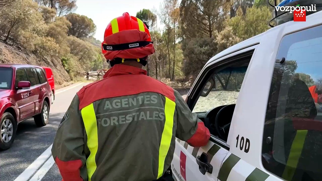 Agentes forestales, bomberos y otras unidades limpian las carreteras tras el incendio en Madrid