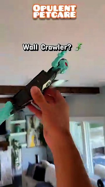 Electric Wall-Climbing Gecko RC Toy – Remote Control Robot Lizard, $15.77