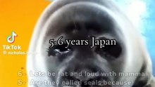 Ranking bests (Seals)