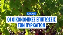 Φόβοι για «άρωμα καπνού» στα φετινά Μπορντό- Σοβαρές επιπτώσεις στον τουρισμό