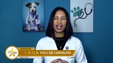 DRA CAMILA POLI DE CARVALHO - 01 de agosto de 2026