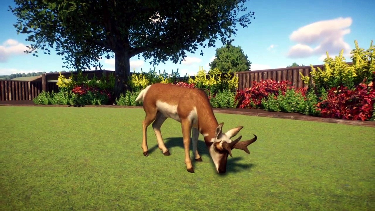 Planet Zoo (1.20) ALL 210 ANIMALS SHOWCASE