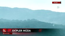 Balıkesir Gömeç'teki orman yangınına müdahale sürüyor