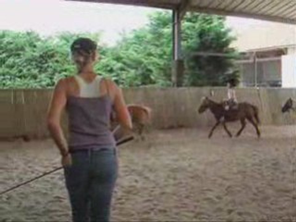 les Ecuries du Vieux Chêne