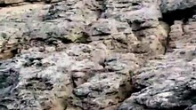video_2026-07-31_10-58-57