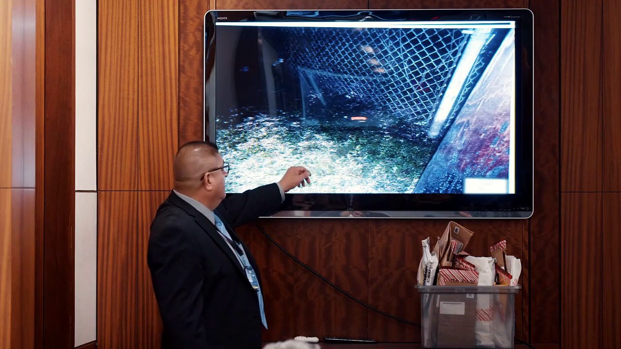 Accused Guilty or Innocent Season 8 Episode 2