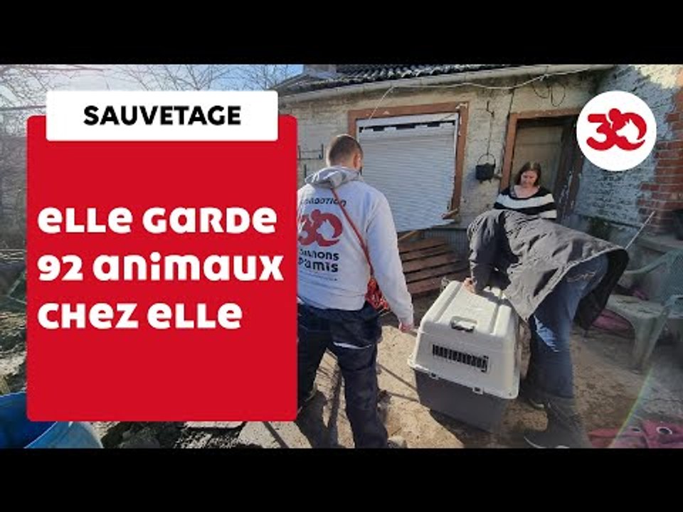 Les Enquêteurs-Bénévoles De La Fondation 30 Millions D'Amis Au Secours Des Animaux ! | Sauvetage d'animaux