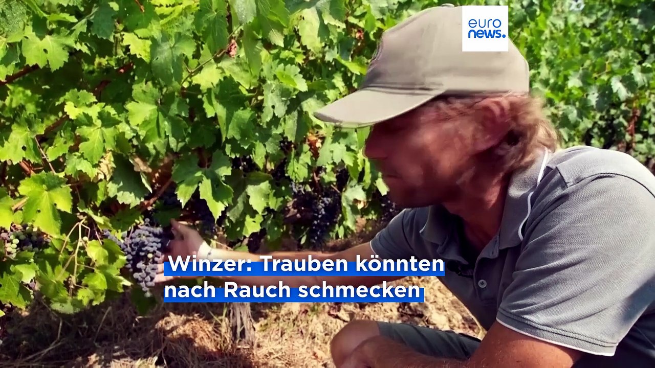 Nachrichten des Tages | 31. Juli 2026 - Mittagsausgabe