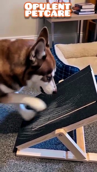 Wooden Dog Scratch Board Nail File – Corgi Approved Nail Care!