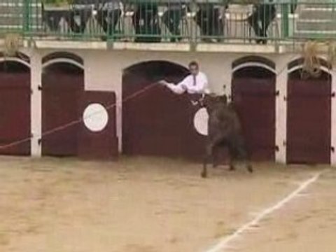 R15 / R17 Landes 6 - Course landaise