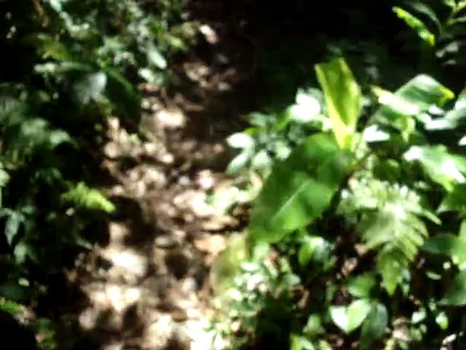 260720龍潭石門山景春步道-15