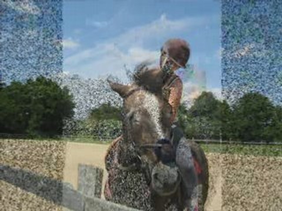 Doudou Au Dressage ^^