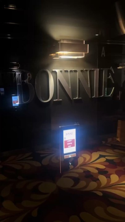 Night at the Bonnie restaurant, Paris