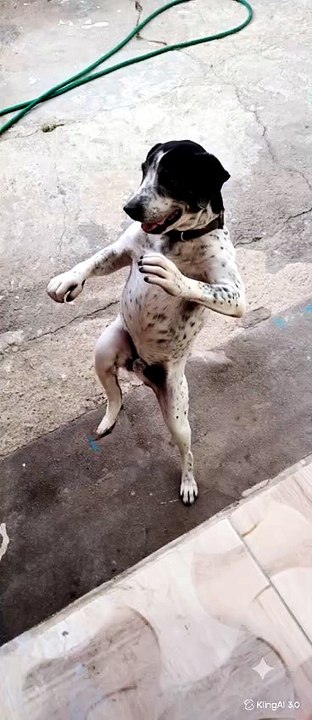 Vamos ser Feliz