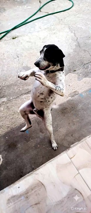 Let's dance together