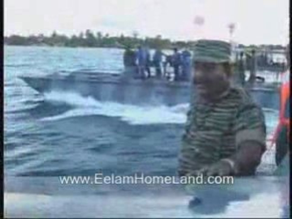 Tamil tigers