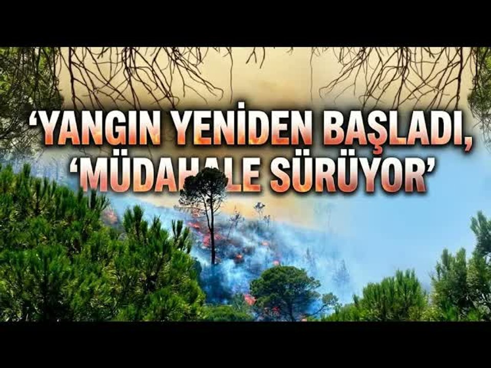 Gömeç'ten Ayvalık'a Ulaşan Yangın Yeniden Etkisini Artırdı!