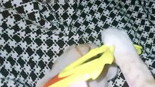 Kitten playing with me