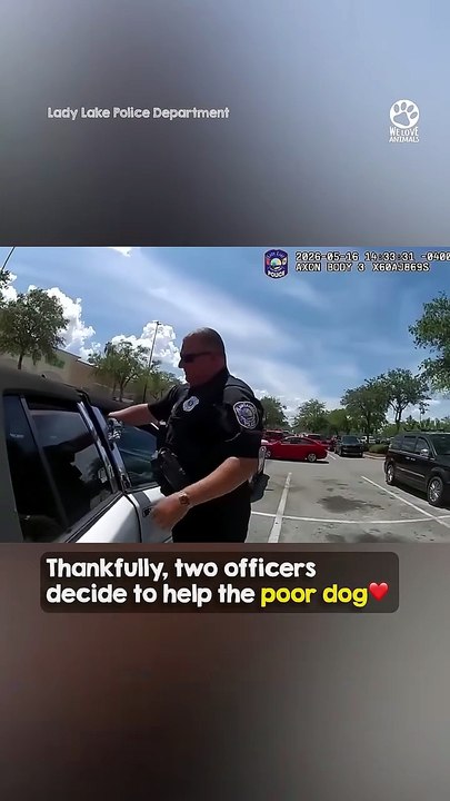 Dog Left to Die in Hot Car Gets Saved by Officers😱🙏