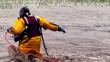 Firefighter Saves Baby Deer 🦌❤️