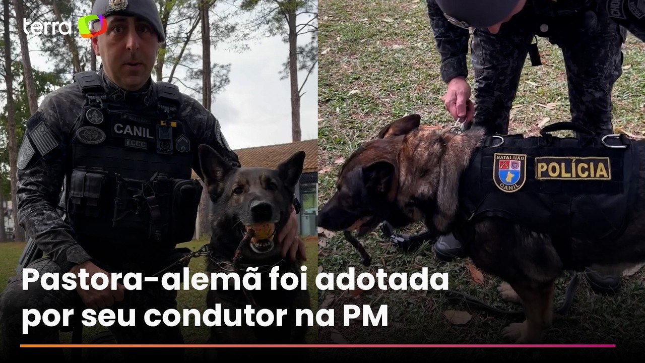 Cadela se aposenta da PM após sete anos de serviço e recebe homenagem: “Vai descansar”