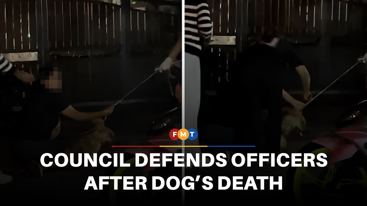 Klang council says woman turned aggressive during dog operation