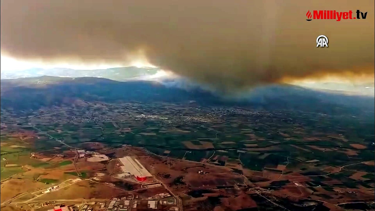 Balıkesir'deki orman yangının çıkış sebebi belli oldu, 2 kişi tutuklandı