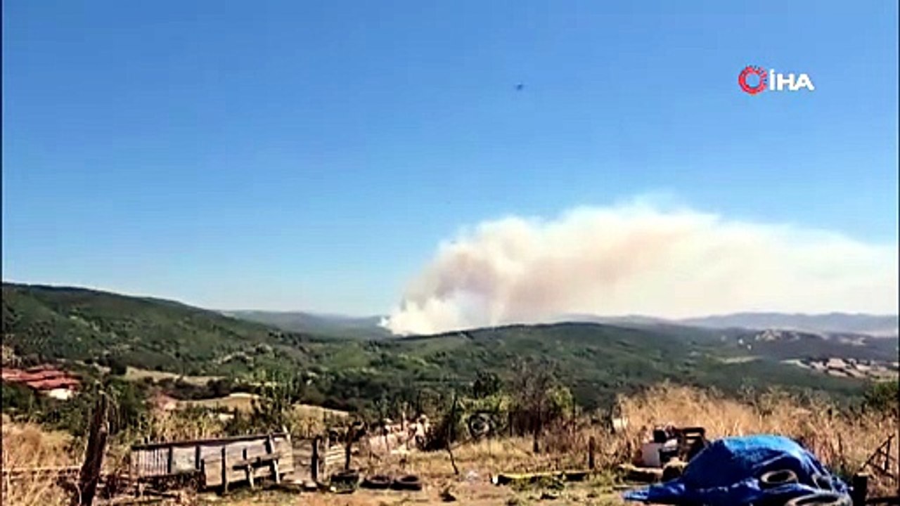 Susurluk’ta Orman Yangını!