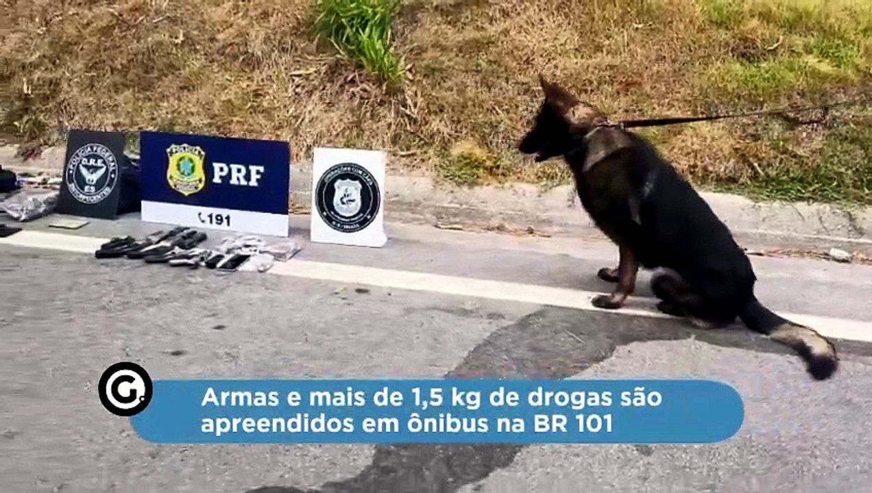 Armas e mais de 1,5 kg de drogas são apreendidos em ônibus na BR 101