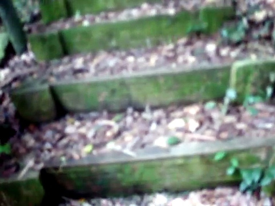 260731新埔蓮華山古道群-04