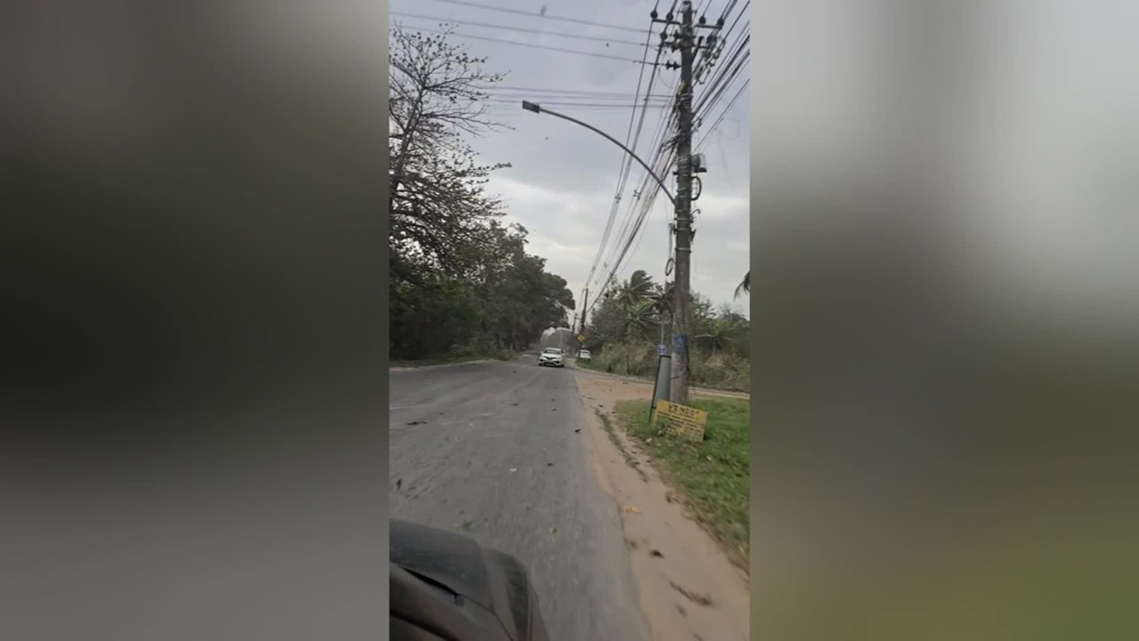 Man Escape Tree Crashes During Violent Storm